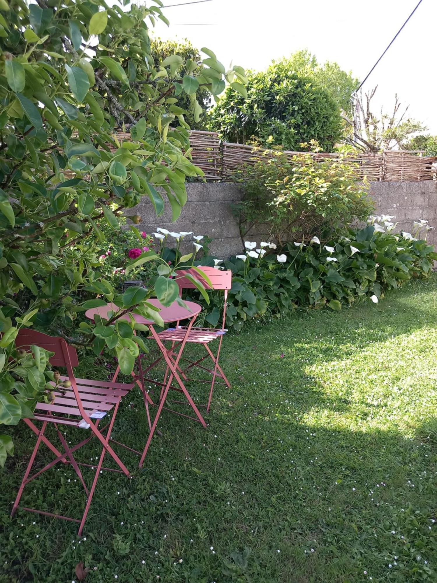 Maison 3 Etoiles Proche Des Plages Pont-lʼAbbé Esterno foto